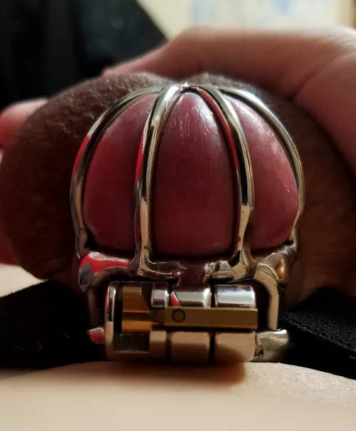 One of the most HD pics of my crushed clitty that I took lmao, RTX ON 😩💦