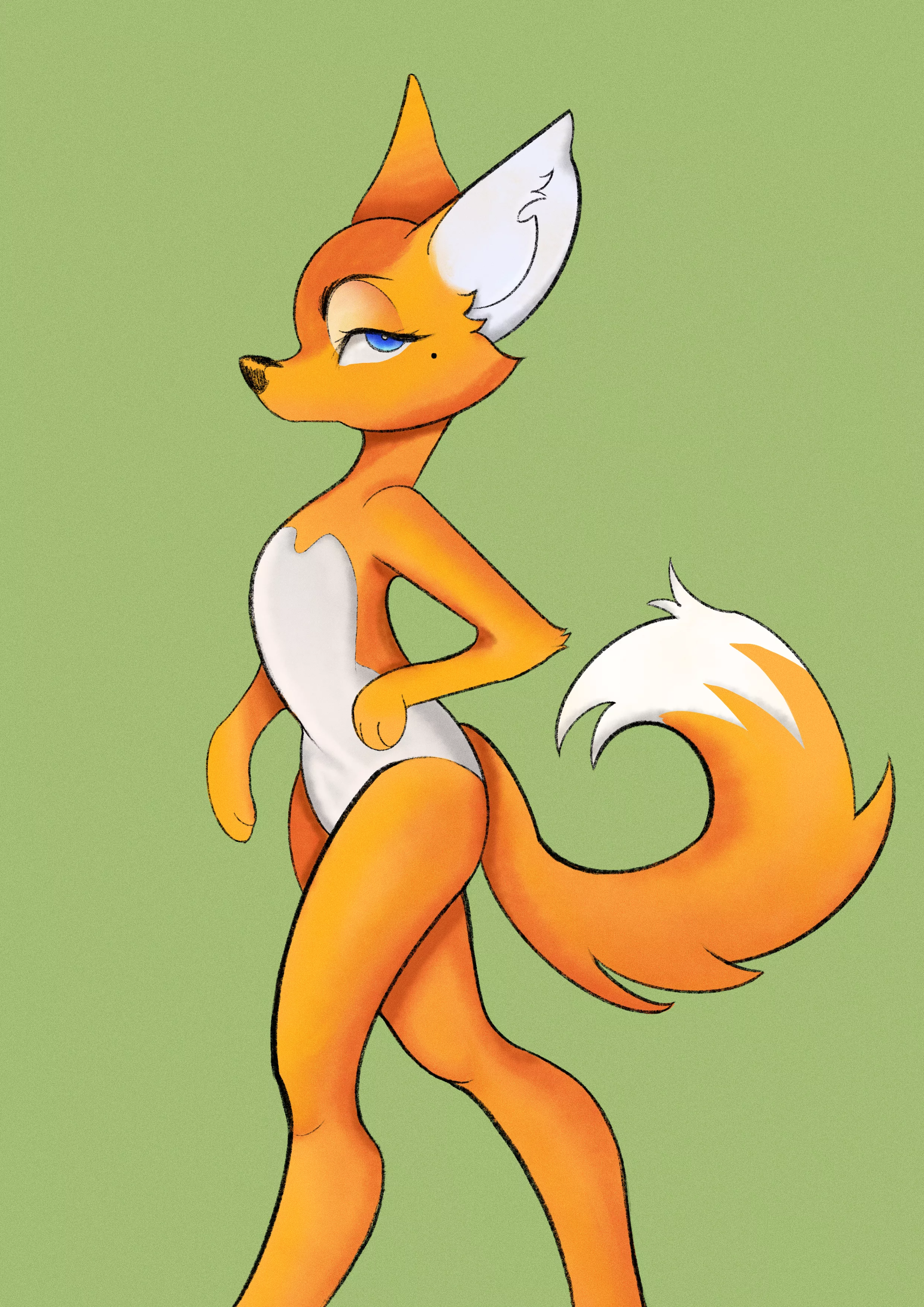 Pretty fox