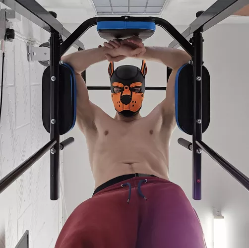 Pup Hood gives + 10 to constitution