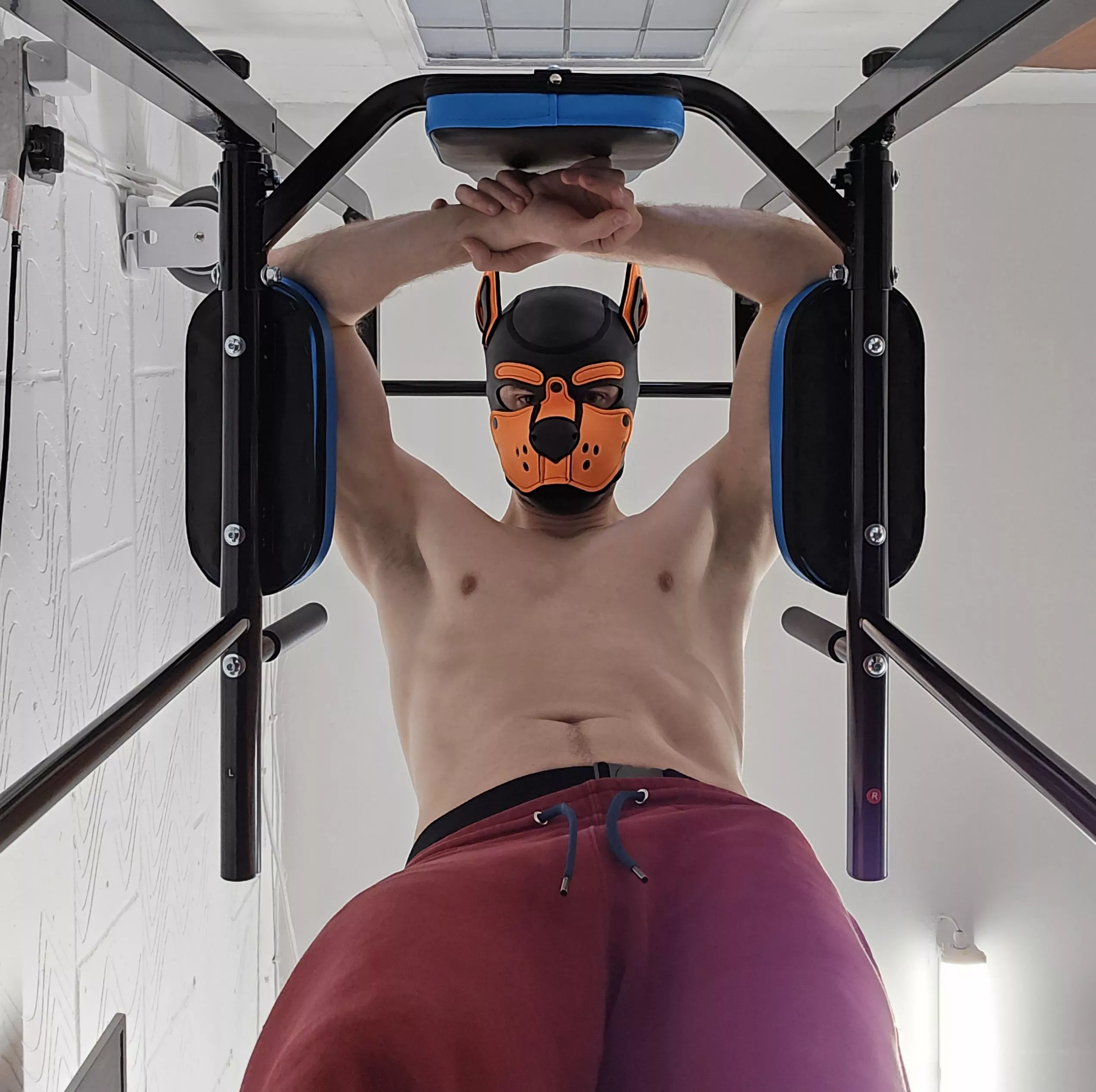 Pup Hood gives + 10 to constitution