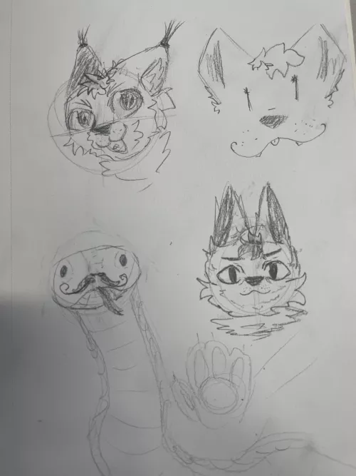 SKETCHES!