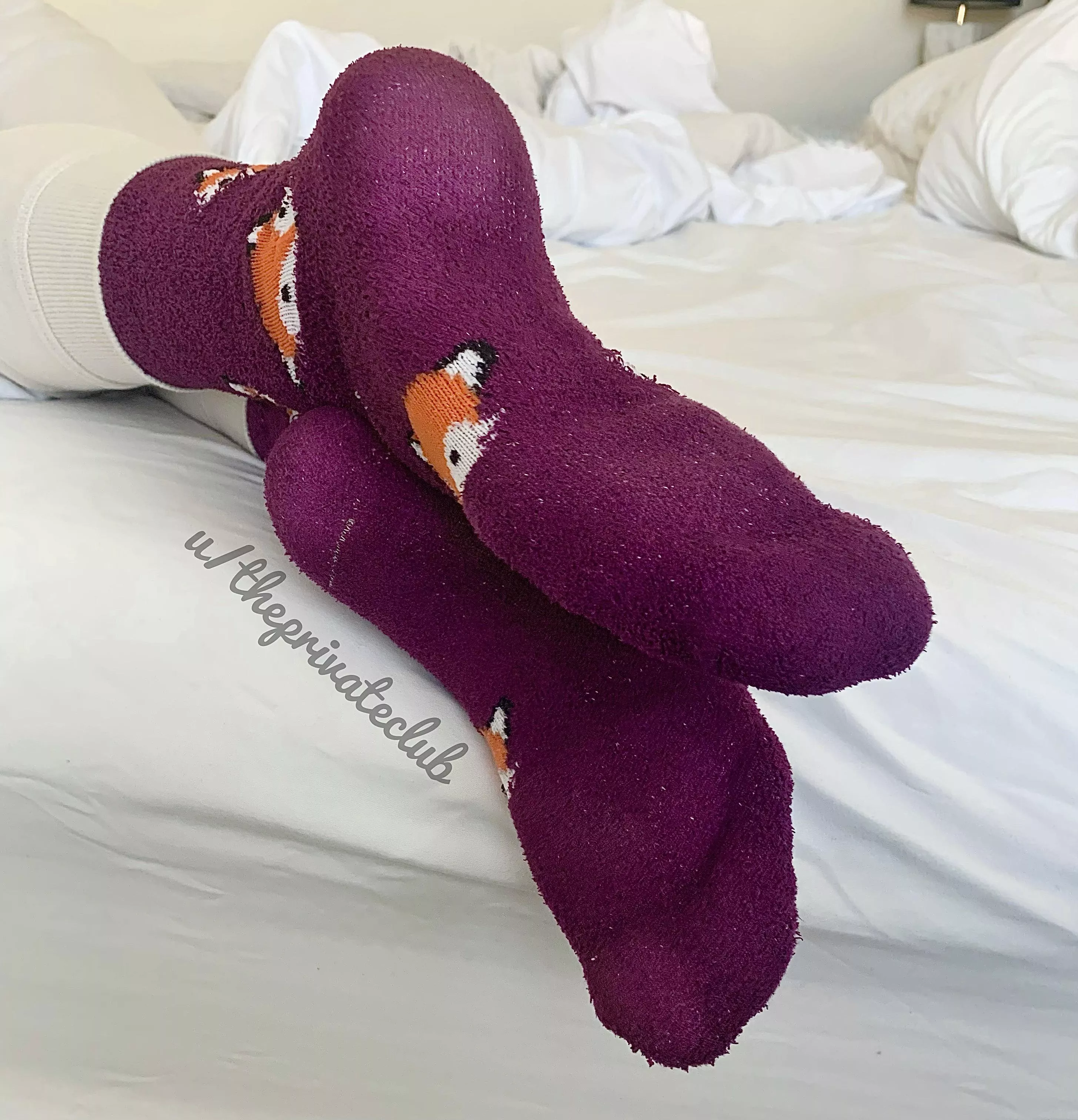 Snuggle up to my fuzzy socks!