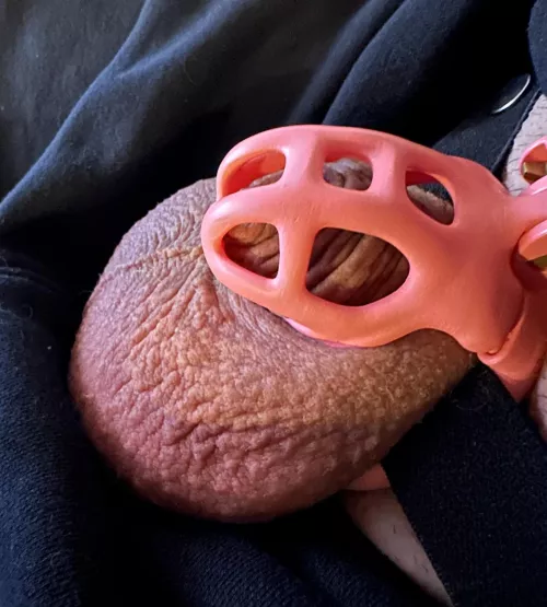 This cage is roomy 😅