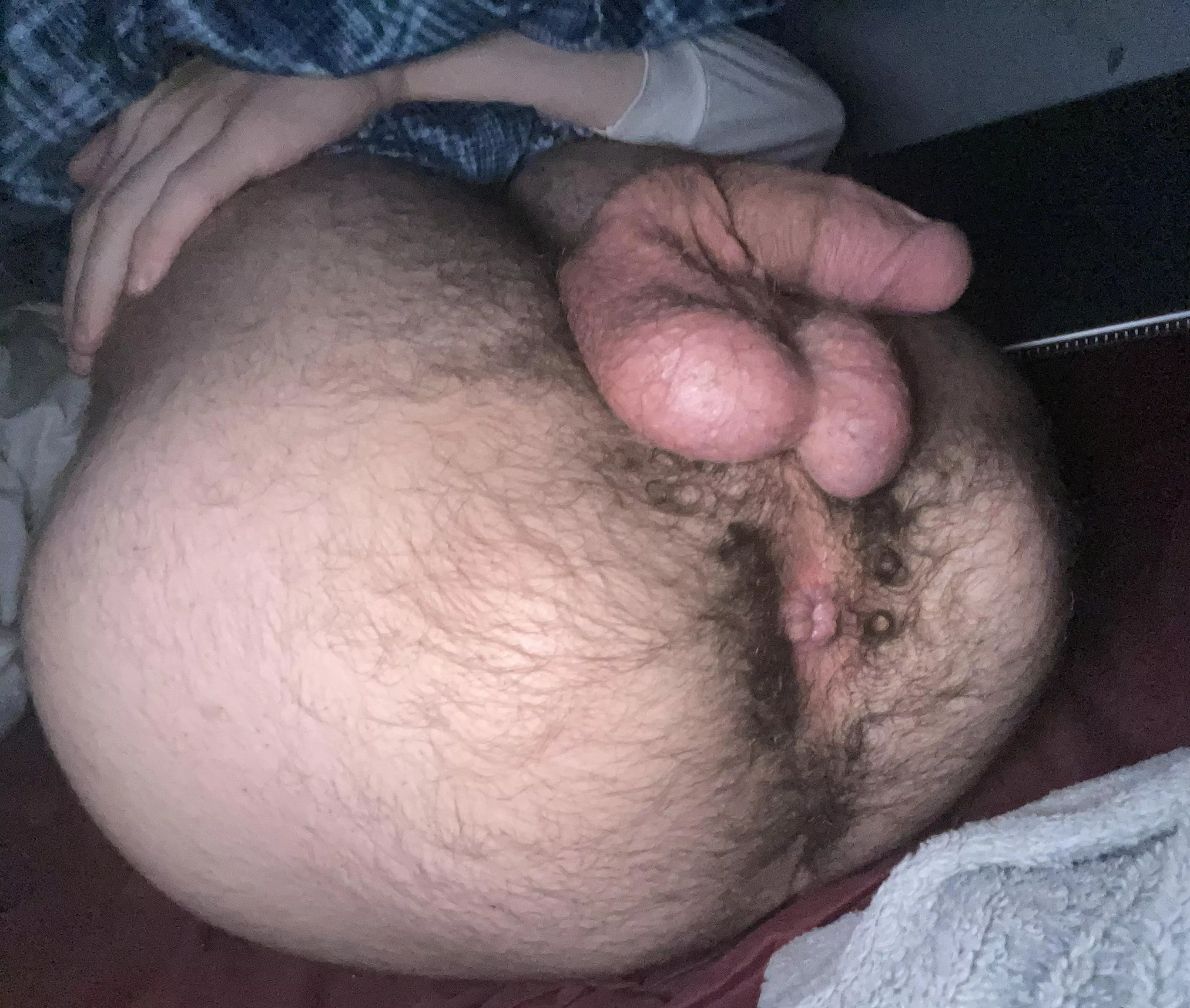 Wanna eat my hairy boy hole? 😜