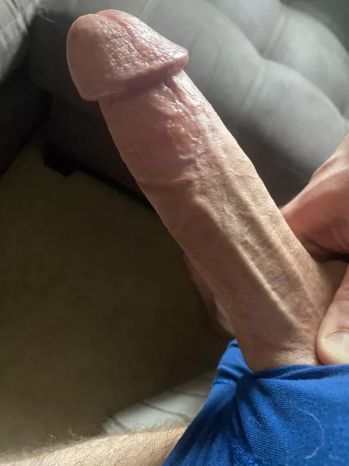 Would you want to suck my cock?