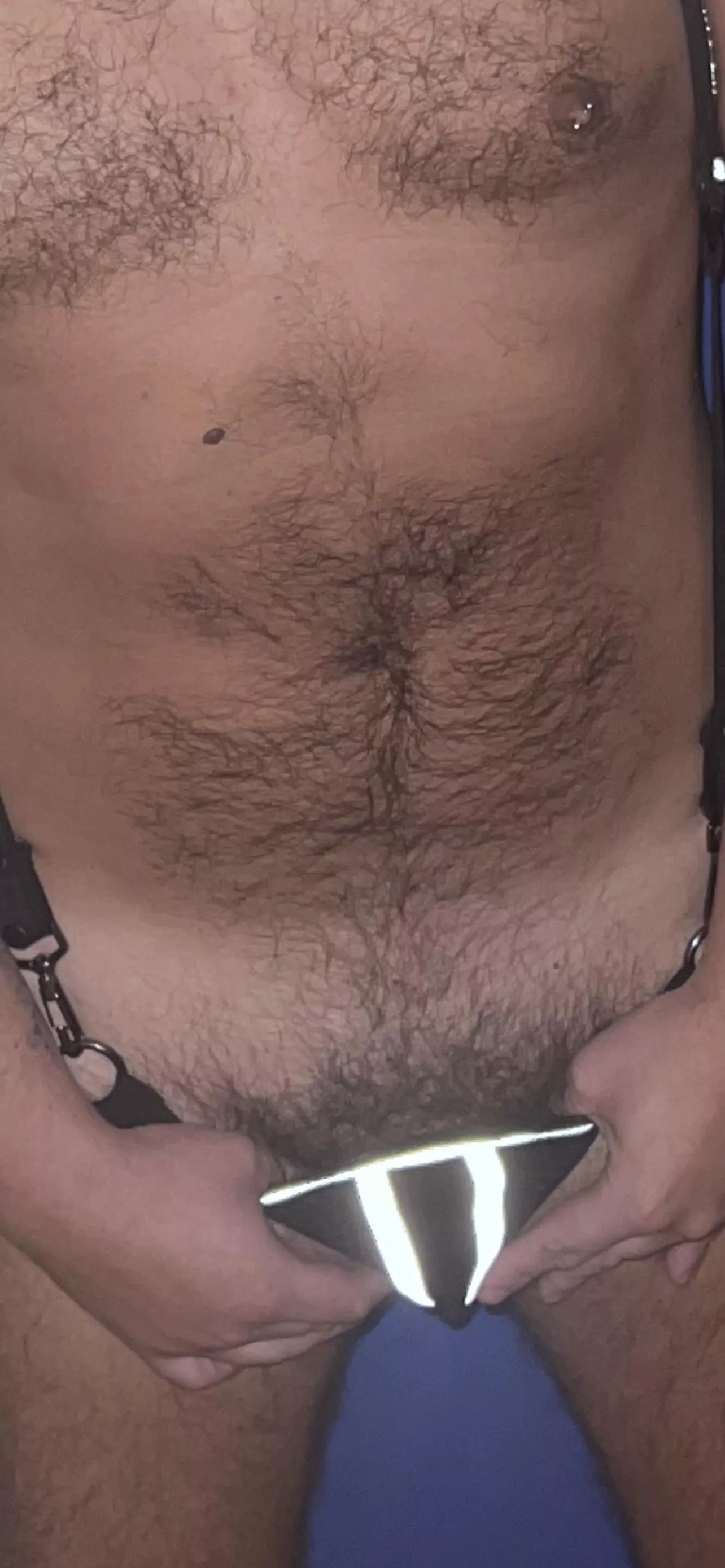 33 hairy otter who likes it 