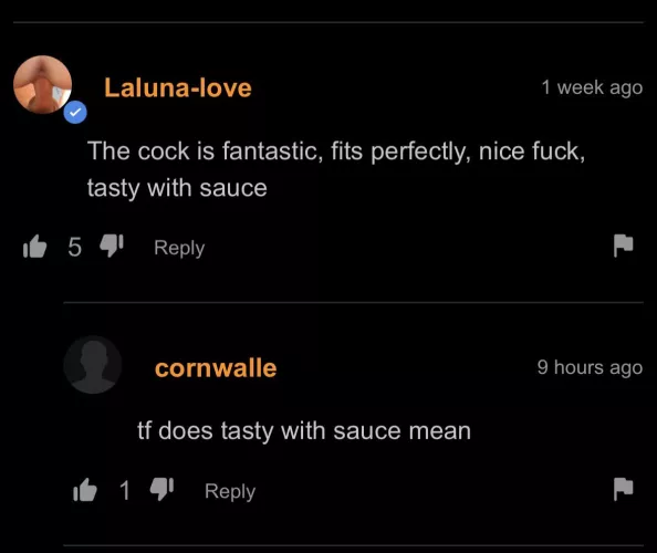 A good critic knows the quality of the sauce before it has touched his lips