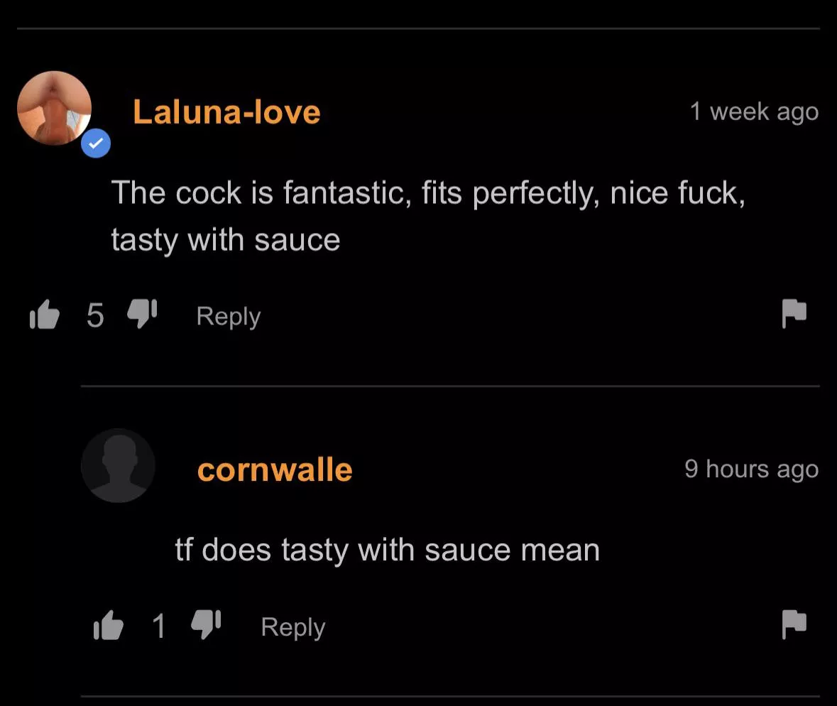 A good critic knows the quality of the sauce before it has touched his lips
