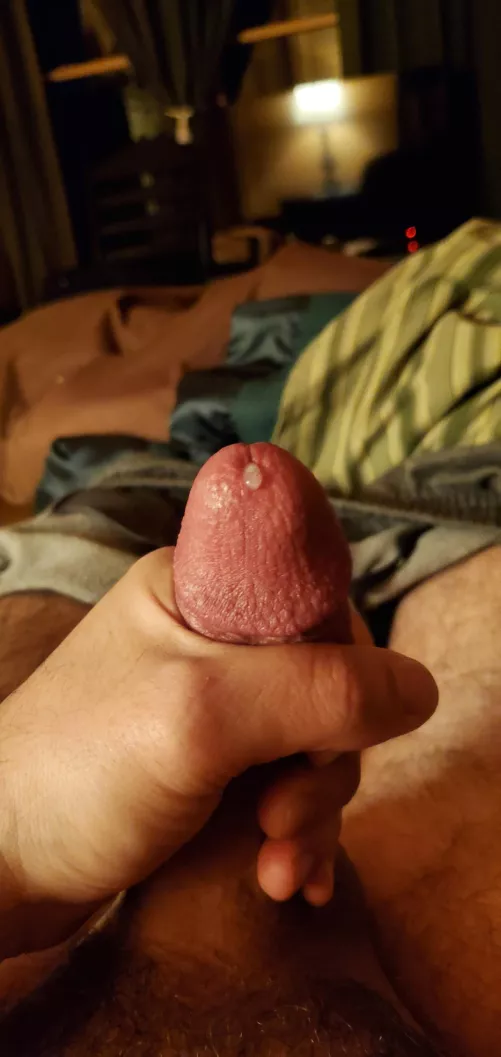 Anyone want to lick it up?