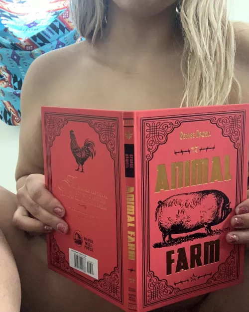 Are you a good horsey?