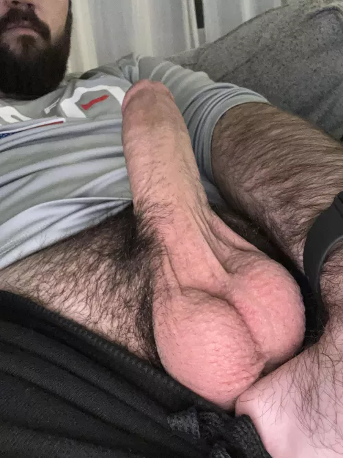 Bro! It’s Hump Day! [33]