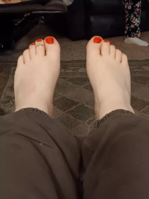 Come get your Vitamin C 🍊