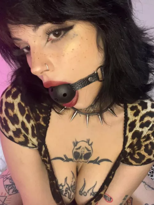 do you think being gagged suits me?