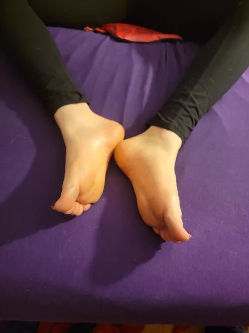 Don't they just look so soft and inviting? 😘