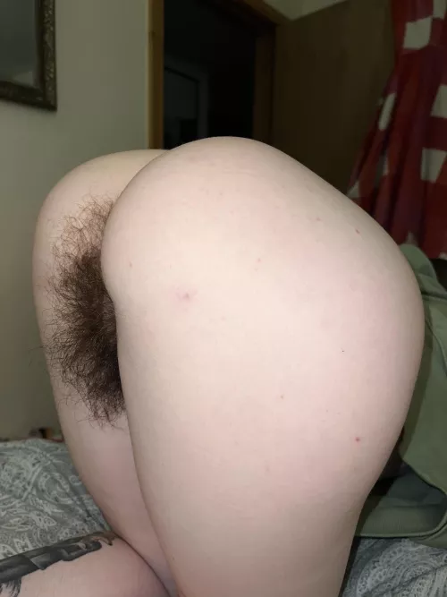 [h] brave enough to eat out a hairy ass like this?