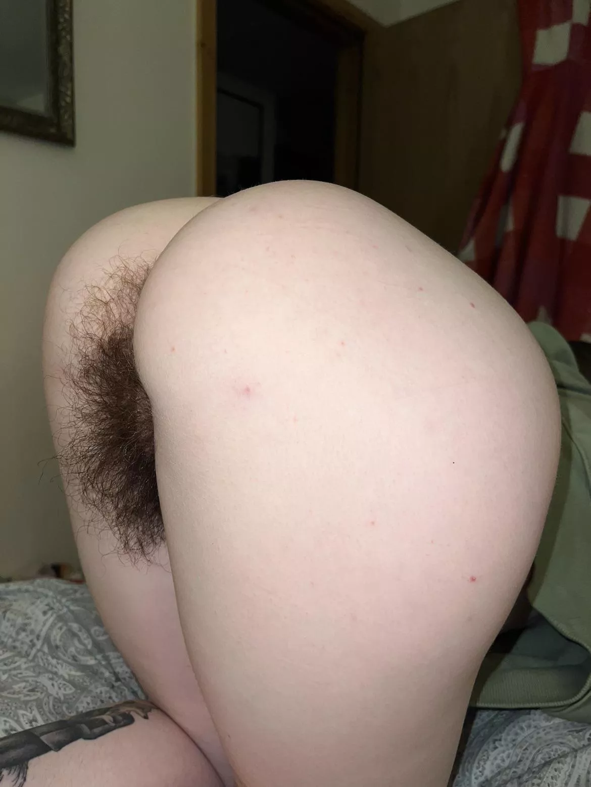 [h] brave enough to eat out a hairy ass like this?