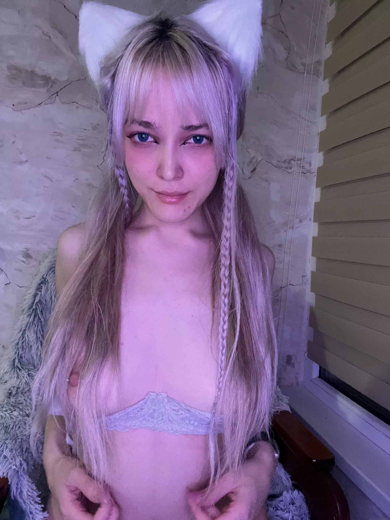 Having a kitten is a big responsibility, do you realize that?