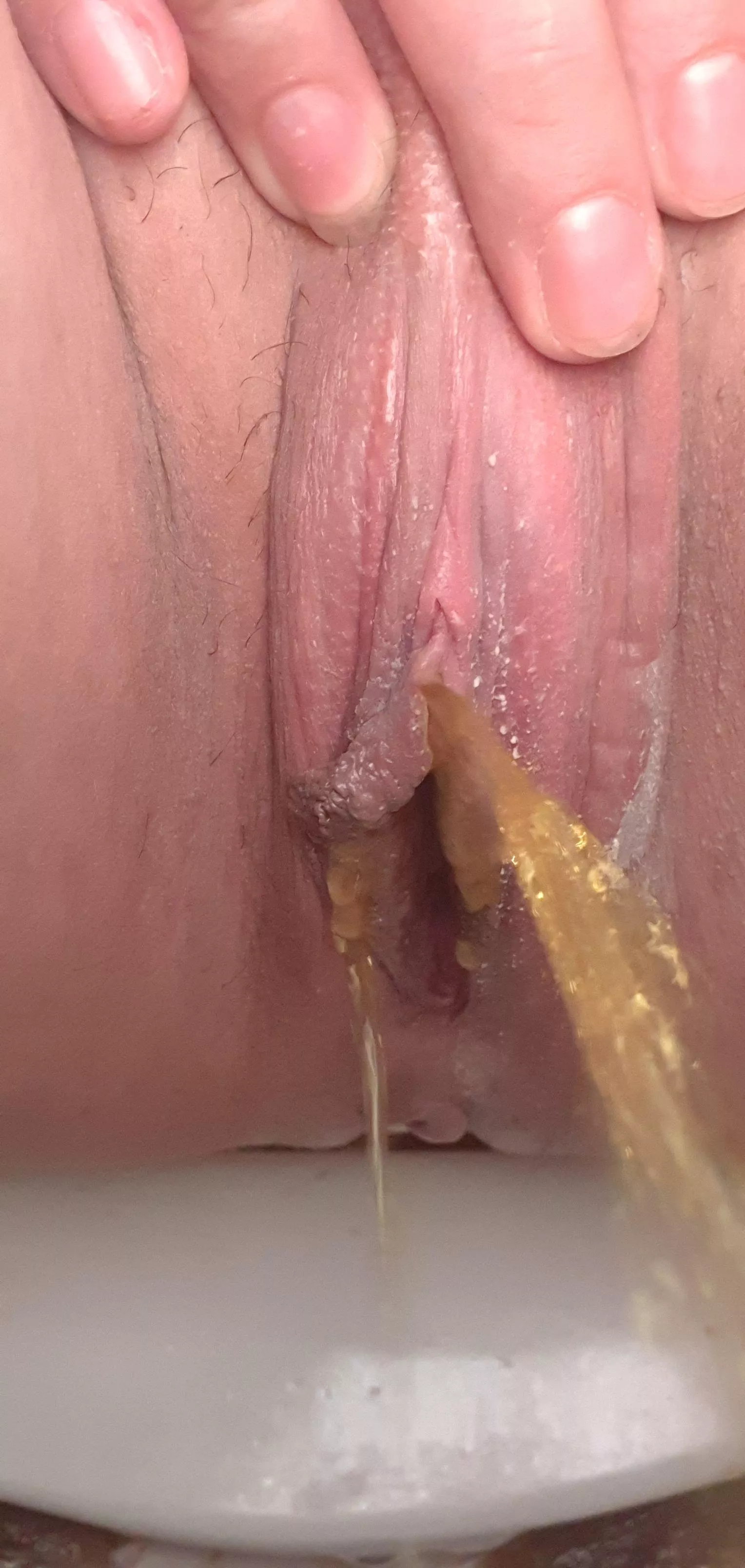 He likes the language 