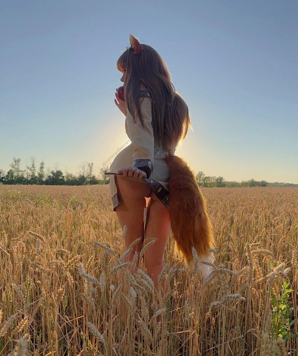 Horo from Spice and Wolf by CaterpillarCosplay