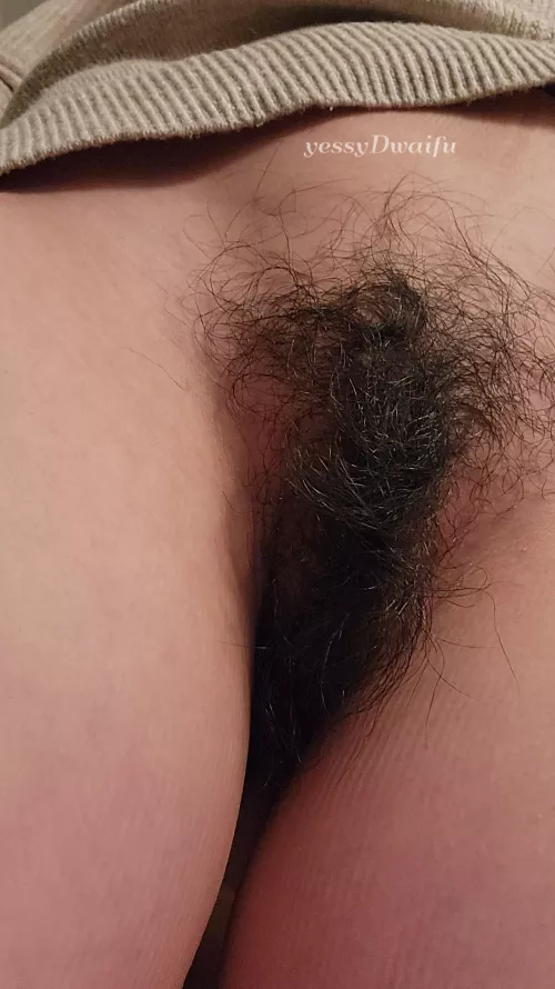 hungry for a midnight snack?