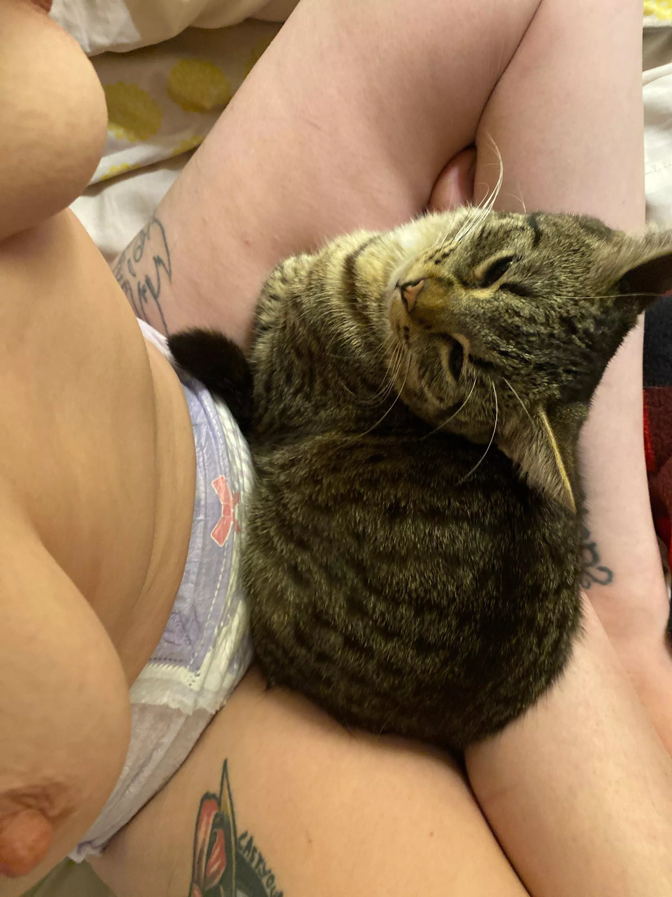 I’m holding a kitty daddy!