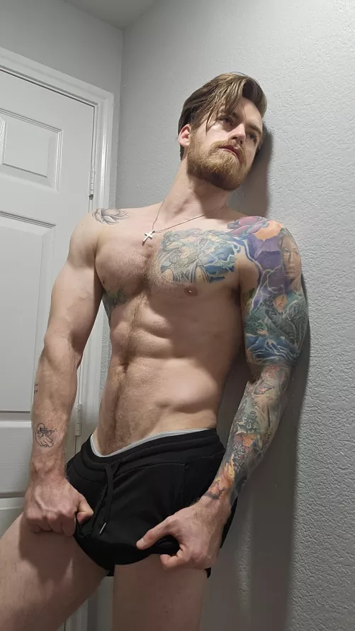 Is this wild enough?