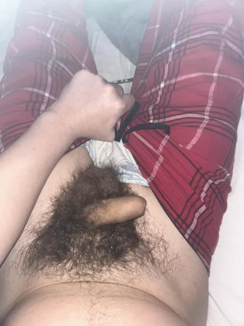 Mine has its own forest😋