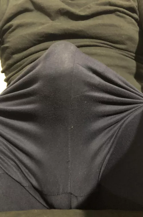 Morning wood on a rainy day