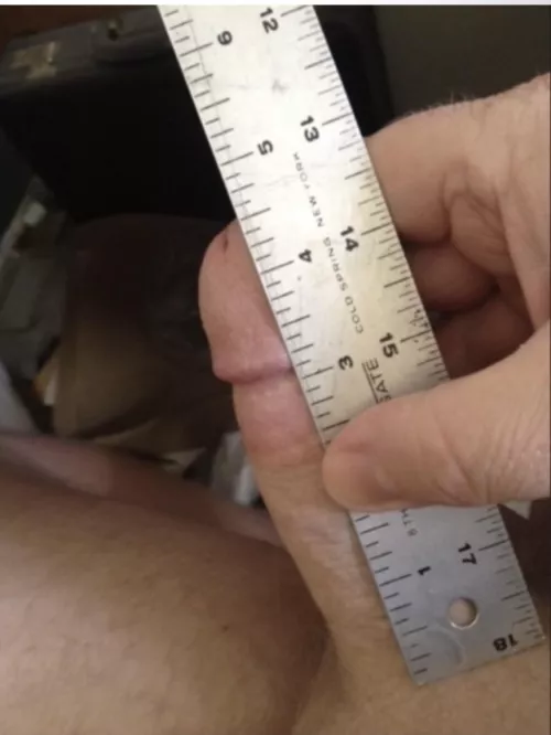 My little cut dick. Comments welcome and PMs.