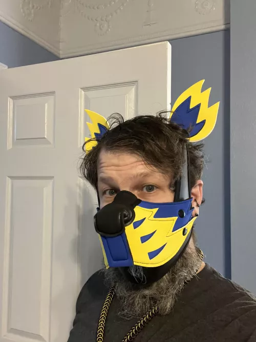 New hood, same Daxter