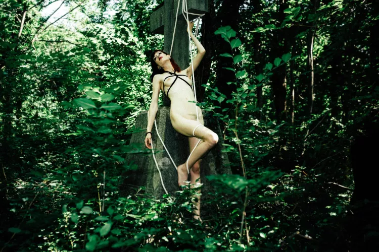 On a cross in forest...