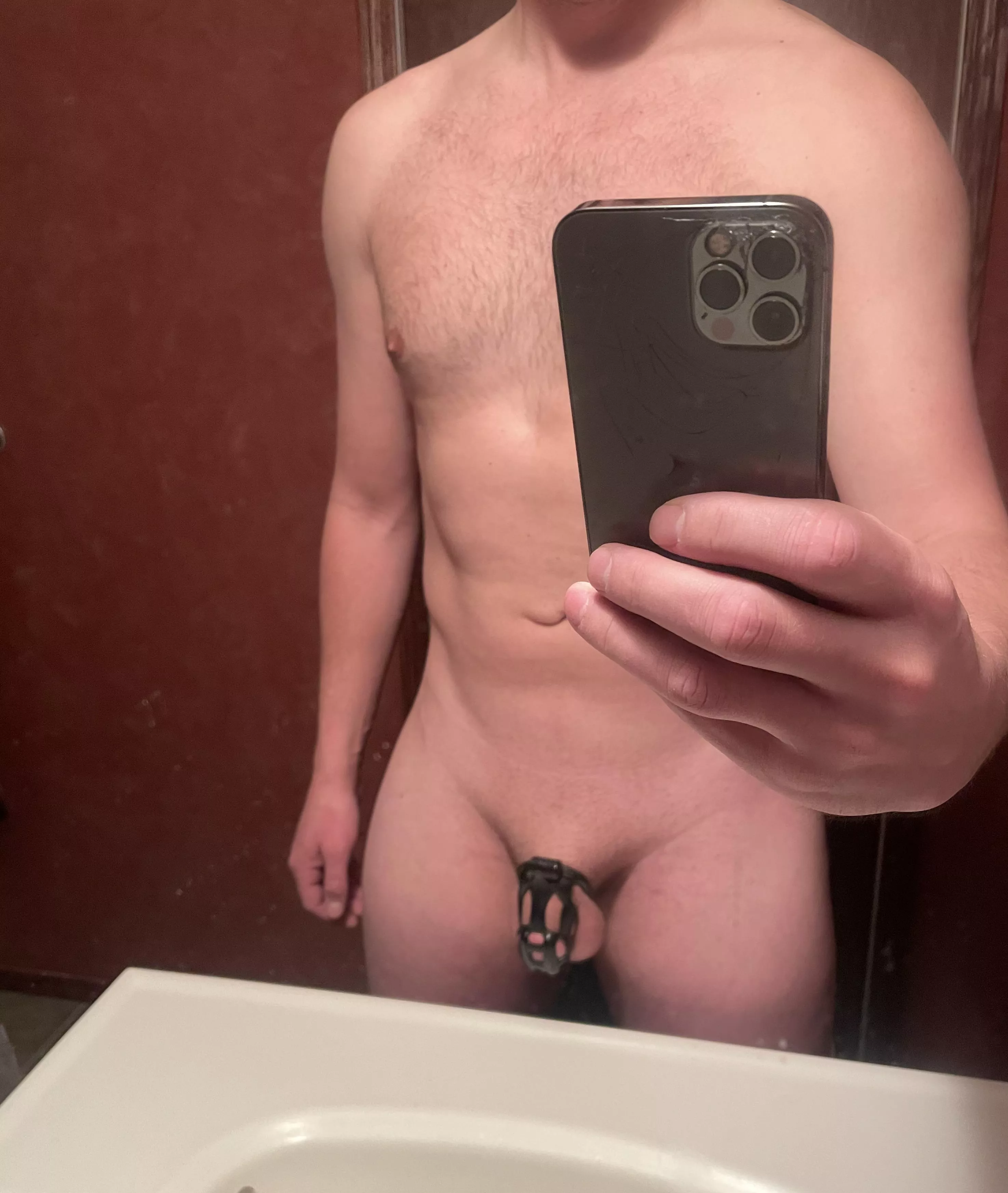 Owner wants to go for a month. Day 4.