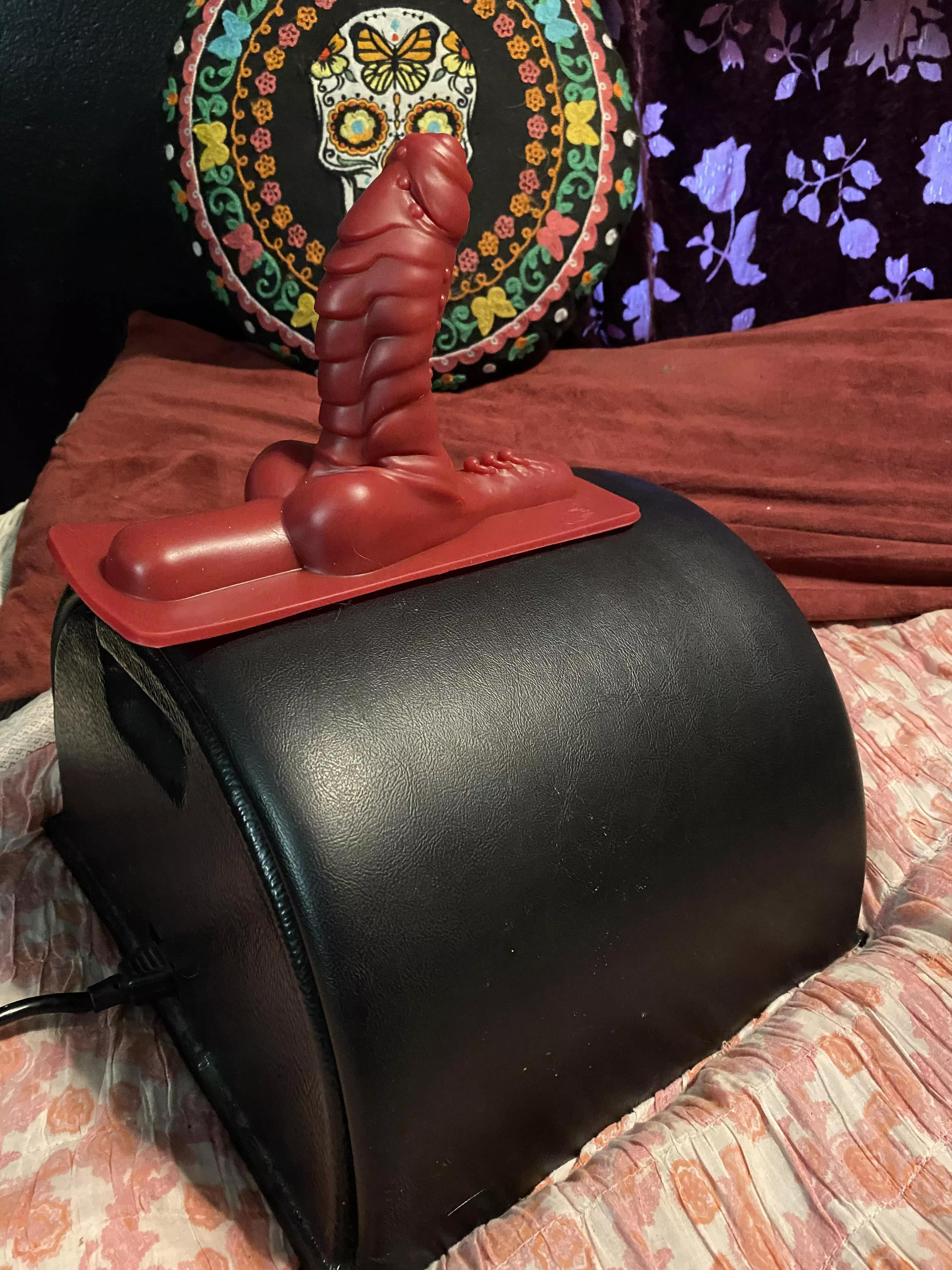 Picked up a Flint attachment for my sybian in the spring cleaning sale 