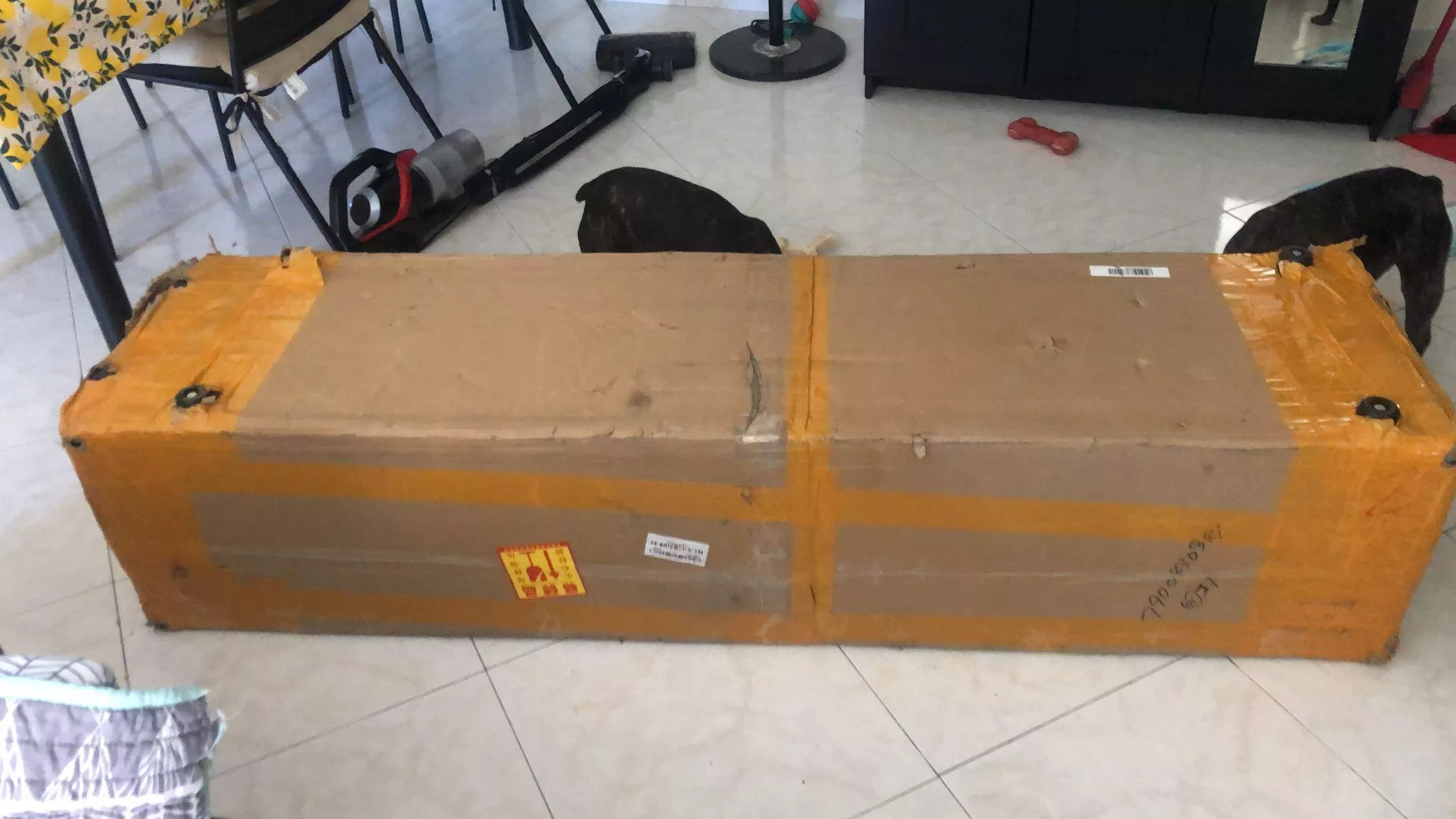 Piperdoll Akira 160cm silicone Review