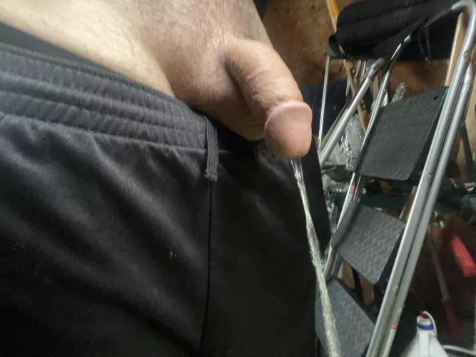 Pissing in the shed on a rainy day