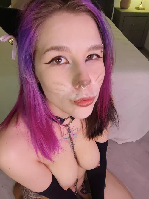 Purple sexy kitten