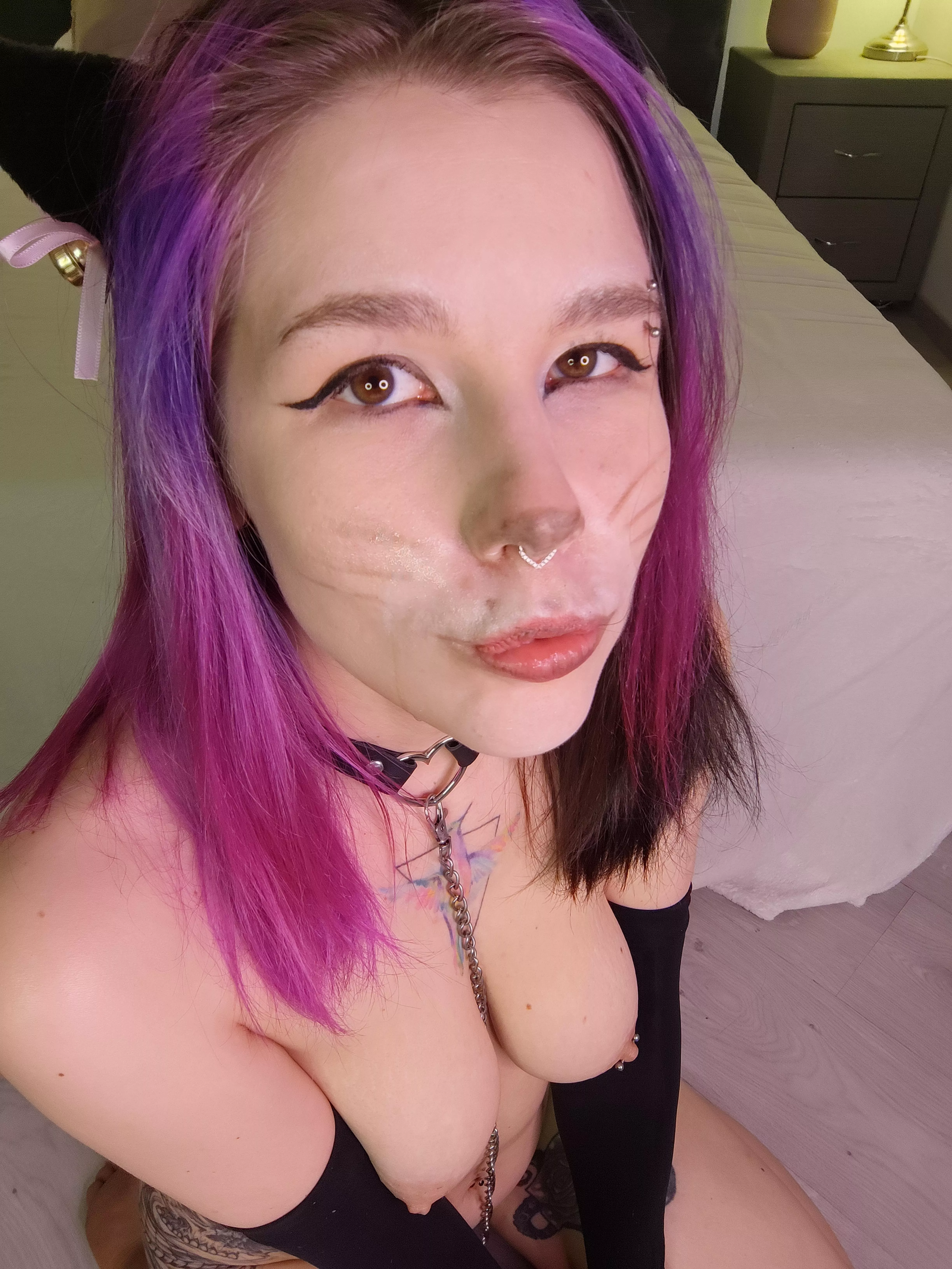 Purple sexy kitten