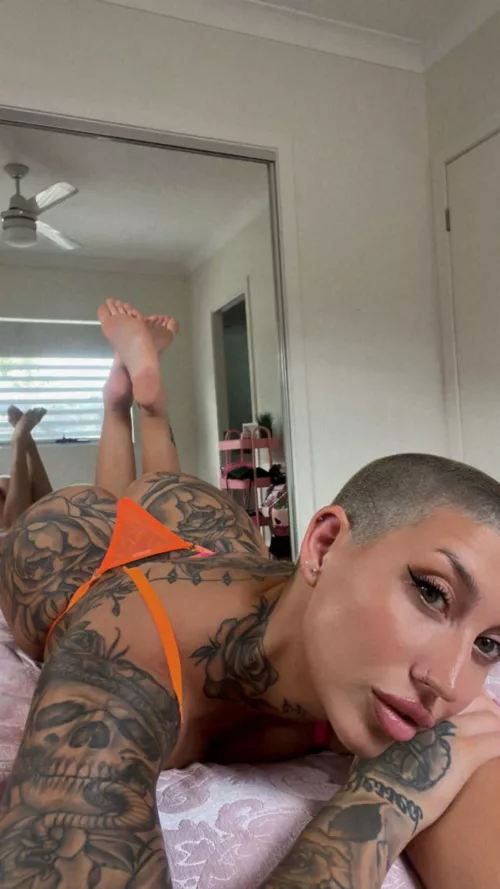 Say Hi if you want something more.