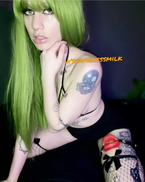 shamelessmilk (@shamelessmilk) [onlyfans]