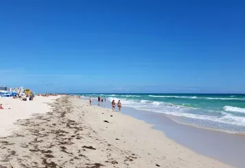 South Florida Beach