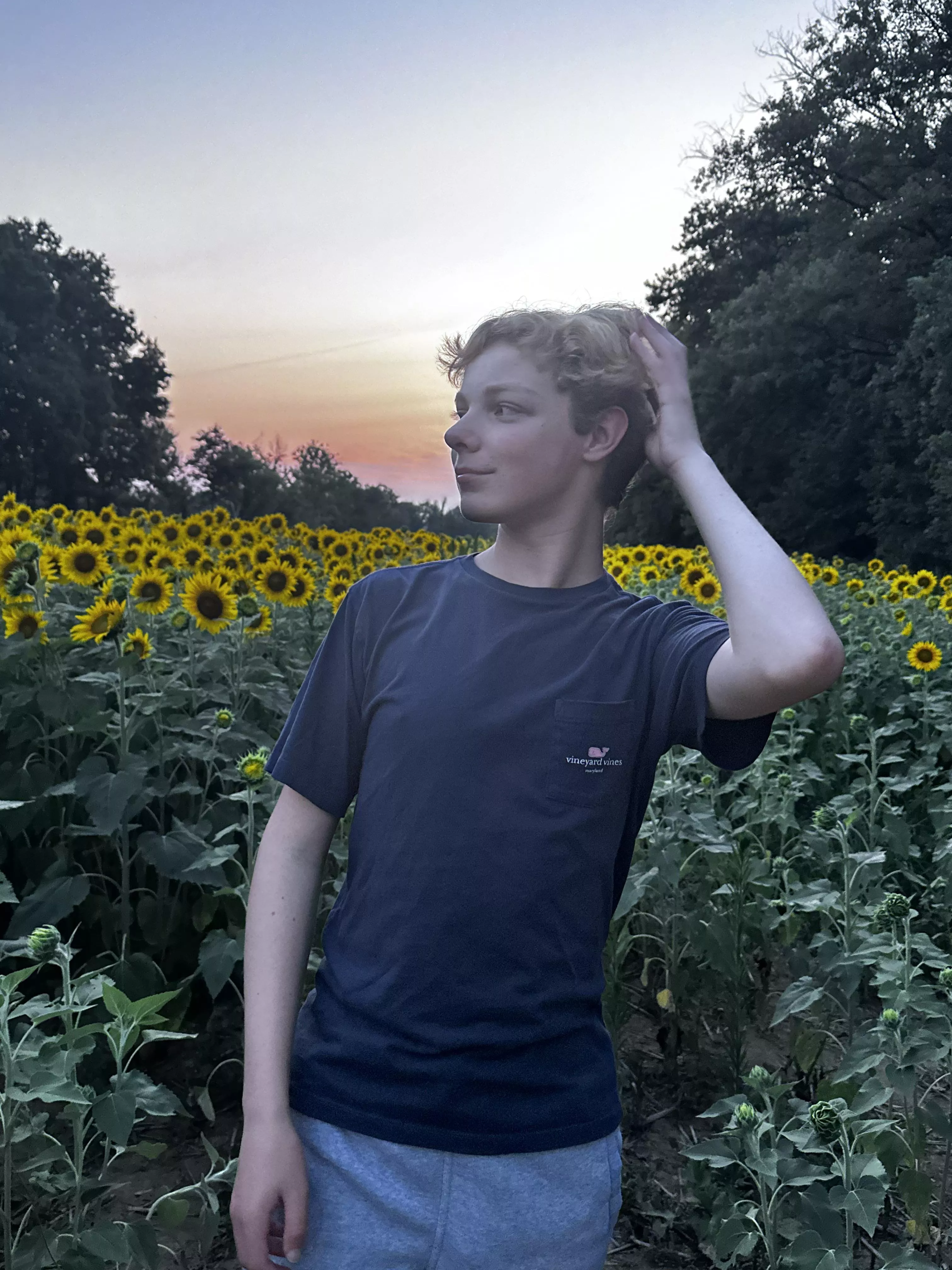 Sunflower date ? Sunflower date ?