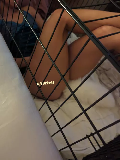 Tail in, cage time at the foot of the bed, Netflix on the TV. Life is good. 