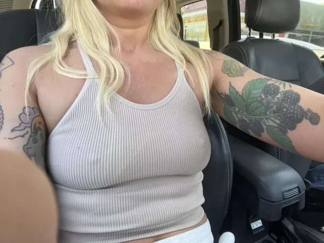 Traffic pokies
