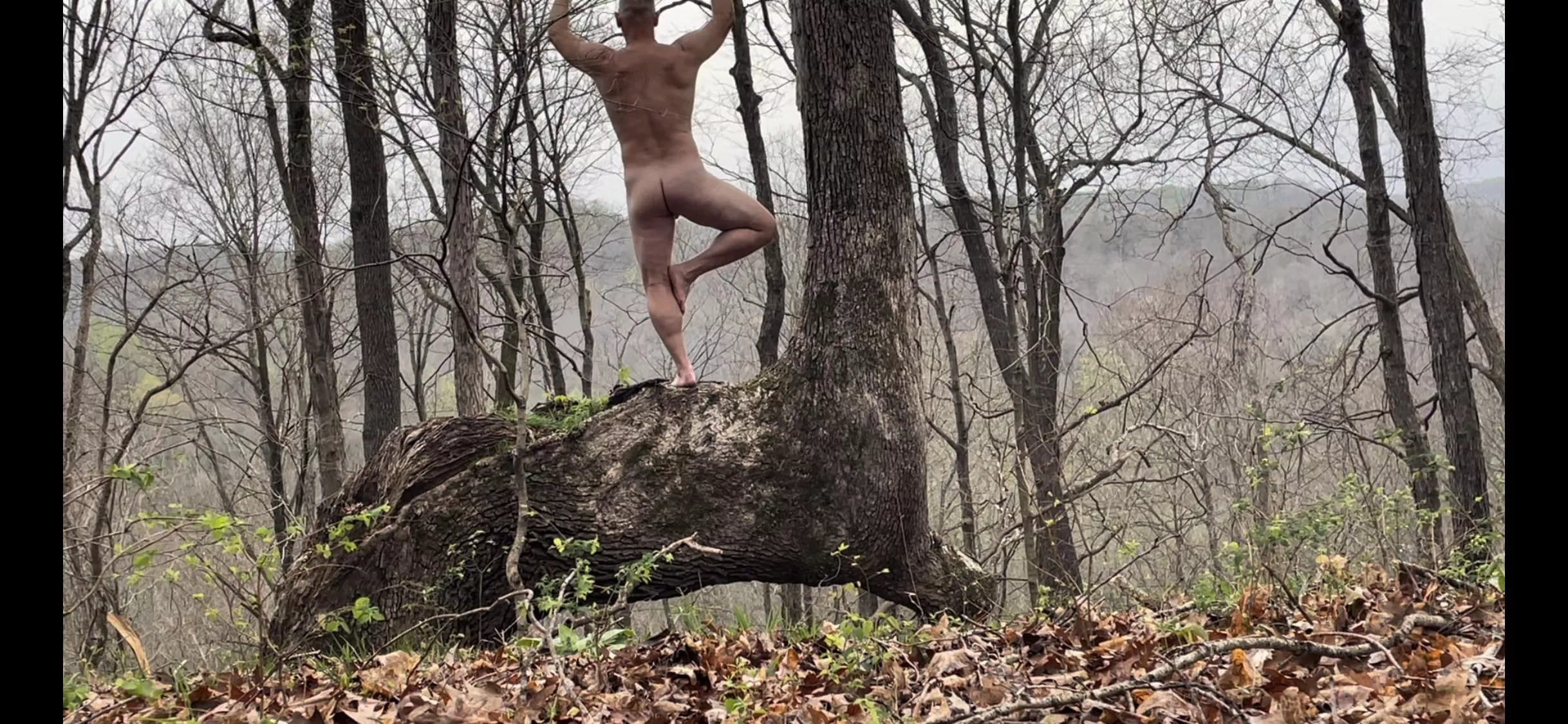 Tree pose Tuesday