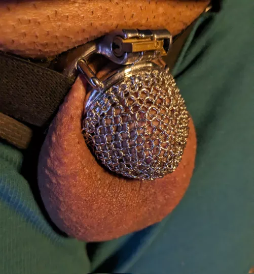 Trying out my new steel mesh chastity cage