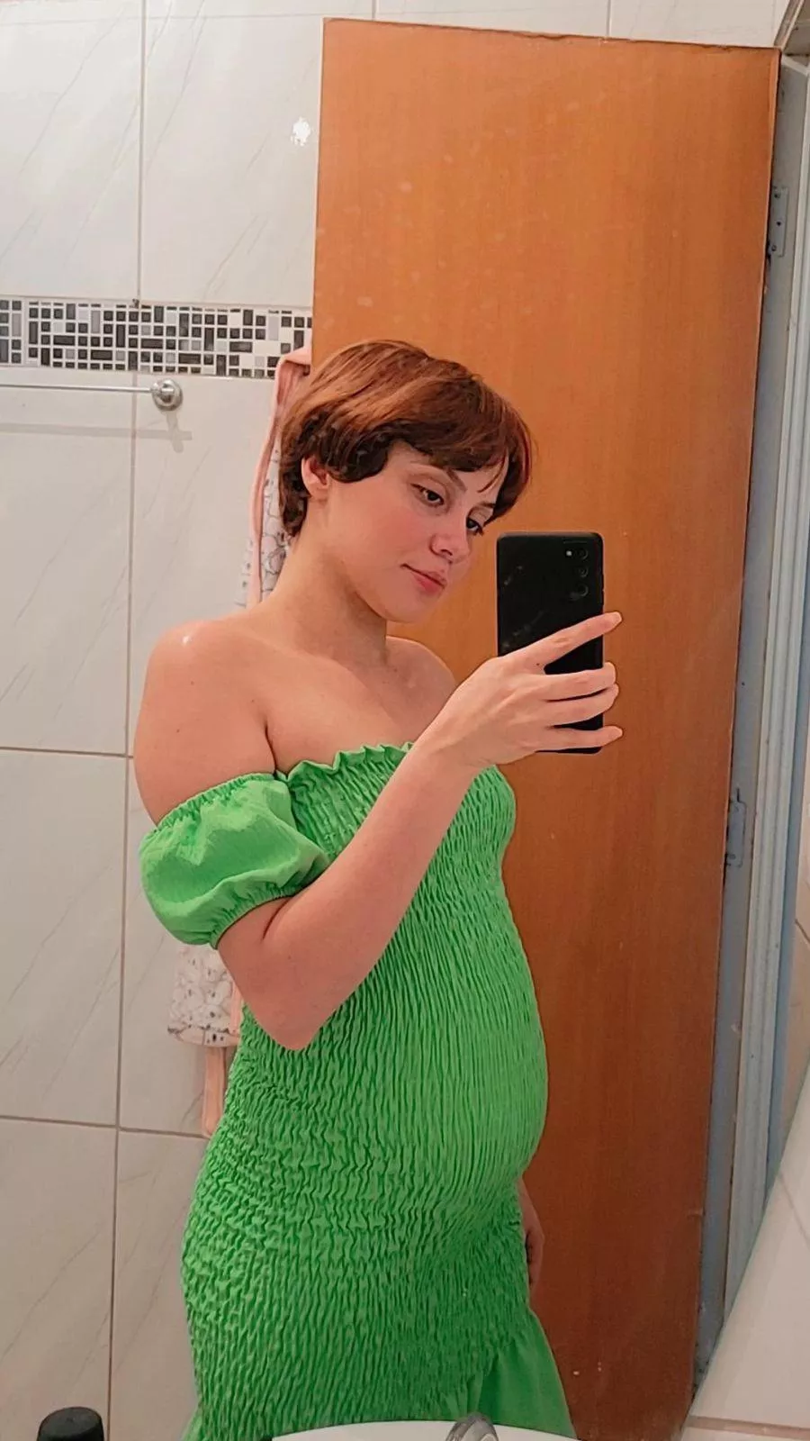 Would you have sex with a pregnant woman in this bathroom?