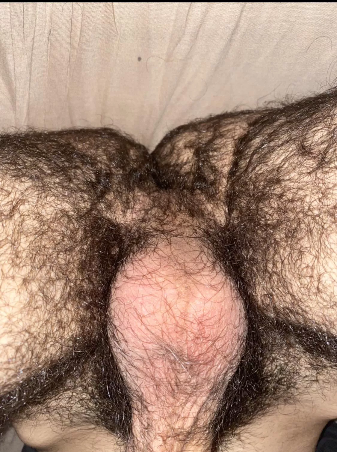 18, arab