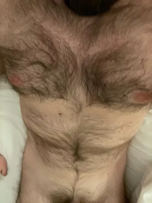 36 hairy married masculine looking for similar men Add me on Skype live:.cid.58d95fd47afa68cd
