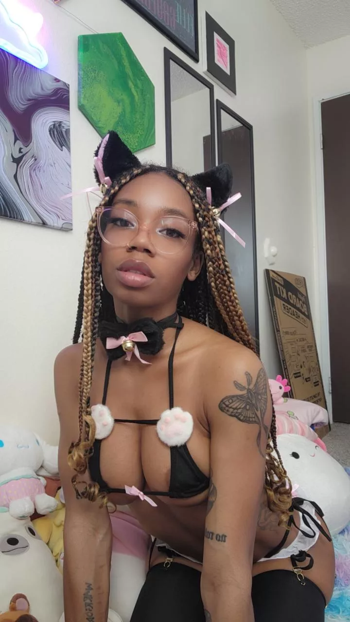anyone have a treat for this kitten? 🥹