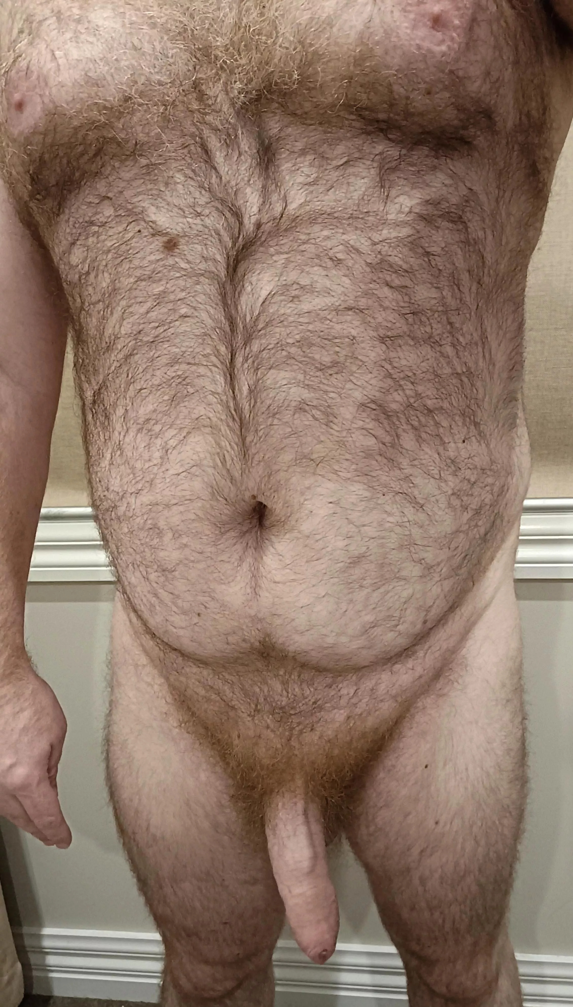 Big hairy Aussie 